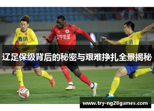 辽足保级背后的秘密与艰难挣扎全景揭秘